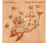 James Yorkston – The Year Of The Leopard – Vinilo 2LP – Integral