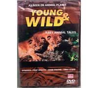 The Young and Wild - Young And Wild - Vol. 1 [Edizione: Paesi Bassi] [Italia] [DVD]