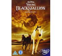 The Young Black Stallion [Reino Unido] [DVD]