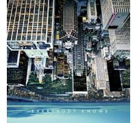 The Young Gods - Everybody Knows