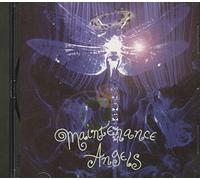 Thea Ennen & the Algorhythms - Maintenance Angels