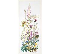 Thea Gouverneur en Aida - Kit para Cuadro de Punto de Cruz, de Flores Silvestres 16 CT