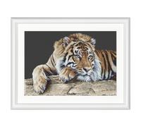 Thea Gouverneur - Kit de punto de cruz contado - Tigre - Tela Aida negra - 14 hilos - Kit de bordado para adultos - Incluye hilos de bordar DMC y