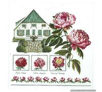 Thea Gouverneur Kit de Punto de Cruz Medio Punto, Multicolor, 58.5x60cm