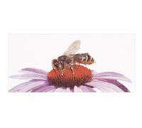 Thea Gouverneur - Kit Punto Croce Contato - Ape su echinacea - Aida - 18 Conteggi - Per adulti - 549A