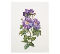 Thea Gouverneur - Kit Punto Croce Contato - Blue - Aida - 18 Conteggi - Per adulti - 413A