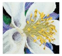 Thea Gouverneur - Kit Punto Croce Contato - Colombina - Aida - 18 Conteggi - Per adulti - 493A
