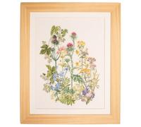Thea Gouverneur - Kit Punto Croce Contato - Erbe aromatiche - Aida - 18 Conteggi - Per adulti - 424A