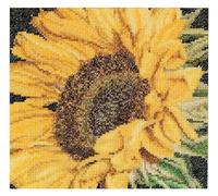 Thea Gouverneur - Kit Punto Croce Contato - Girasole - Aida - 18 Conteggi - Per adulti - 488A