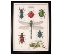 Thea Gouverneur - Kit Punto Croce Contato - La storia Degli insetti - Aida - 14 Conteggi - per adulti - 566A