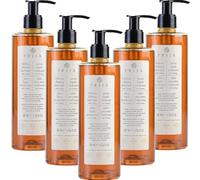 thehotelery.de Prija Jabón líquido con botellas de ginseng de 380 ml, jabón revitalizante, Wellness Spa Hotel Italia Luxury Hotel Cosmetic Hotel Italiano Jabón de manos (5)