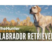 theHunter: Call of the Wild - Labrador Retriever(DLC) (PC) Steam Gift - GLOBAL