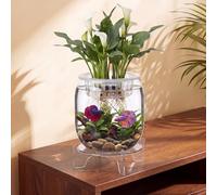 Thenshop Maceta acuapónica de plástico de 1.07 galones y cuenco Betta para acuarios, pecera pequeña con base y parte superior, promueve un ambiente hidropónico saludable para las plantas (cilindro