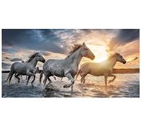 Theonoi Toalla de baño infantil, toalla de playa, toalla de ducha para niñas y niños, 100% algodón, 70 x 140 cm (caballo)