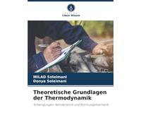 Theoretische Grundlagen der Thermodynamik: Schwingungen, Aerodynamik und Strömungsmechanik