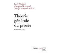 Théorie générale du procès