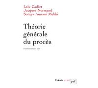 Théorie générale du procès