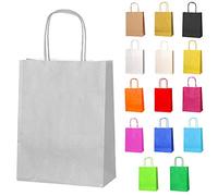 Thepaperbagstore 30 Plateadas Bolsas de Papel con Asas para Fiestas - 18x22x8cm - Bolsas de Regalo de Papel Coloridas para Fiestas Infantiles y de Adultos, Cumpleaños, Bodas, Baby Showers.