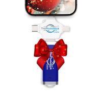 ThePhotoStick Omni 256GB - Fácil copia de seguridad de fotos y video con un solo clic para todos sus dispositivos!