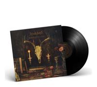 Æther Realm Redneck Vikings from Hell (Vinyl) 12" Album (Importación USA)