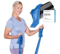 TheraBand 2,50 m Incluye Anclaje para Puerta + Bolsa Azul | Resistencia 2,6 kg | Bandas de terraza | Banda de Gimnasia | Banda elástica | Banda elástica | Entrenamiento en casa, Entrenamiento de