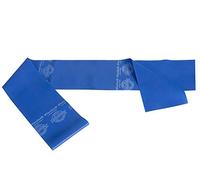 Theraband Banda de goma para ejercicios de resistencia para entrenamiento pesado, gimnasio, yoga y terapia física (azul)