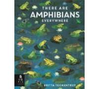 There Are Amphibians Everywhere