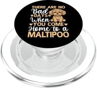 There Are No Bad Days When You Come Home To A Maltipoo PopSockets PopGrip para MagSafe