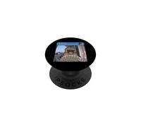 There Is Motion At Your Front Door Meme Funny Monkey Weird PopSockets PopGrip Adhesivo