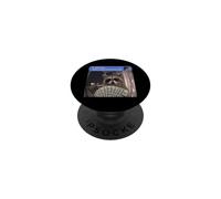 There Is Motion At Your Front Door Meme Funny Raccoon Weird PopSockets PopGrip Adhesivo