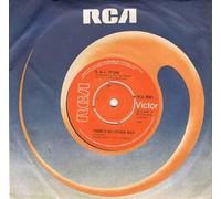 THERE'S NO OTHER WAY 7 INCH (7" VINYL 45) UK RCA 1976