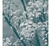 Theresa Wong - Journey To The Cave Of Guanyin