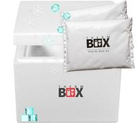 Therm-Box - Caja de poliestireno (13 W, con 2 acumuladores de frío para nevera de 13,2 L, interior: 30 x 20 x 22 cm, reutilizable)