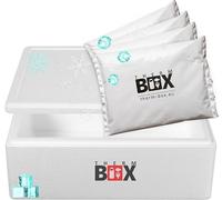 Therm-Box - Caja de poliestireno (29 W, con 4 acumuladores de frío para nevera de 29 L, interior: 53 x 33 x 16 cm, reutilizable)
