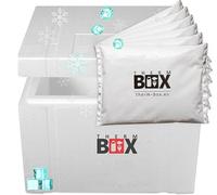 THERM BOX Caja de poliestireno de 53 W con 6 acumuladores de frío para nevera de 53,2 l, interior de 47 x 38 x 29 cm, caja de transporte térmica reutilizable