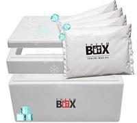 Therm Box Caja modular de 43 m con 4 acumuladores de frío para nevera de 43 l, interior: 49 x 30 x 28 cm, caja de transporte, recipiente térmico, reutilizable