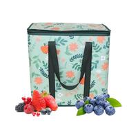 Thermal Bag, Widened Hand Strap Cold Bag, Non-Woven Fabric Insulated Pouch with Large Capacity for Cake, Picnic, Milk Tea, Drinks, Takeaway, Gathering, or Daily Grocery Shopping