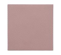 Thermal Grizzly Minus Pad 8 (100x100mm) - Almohadilla térmica