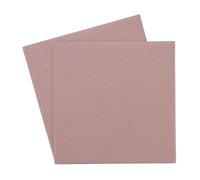 Thermal Grizzly Almohadilla térmica Minus Pad 8 100 x 100 x 1,0 mm 2 unidades