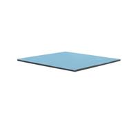 Thermal Grizzly Minus Pad Pro (100x100mm) - Almohadilla térmica
