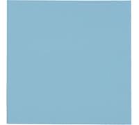 Thermal Pad Thermal Grizzly Minus Pad Pro 100 x 100 x 1.0 mm