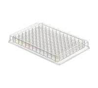 Thermo Scientific Placas de 96 pozos Immuno no estériles con fondo plano transparente