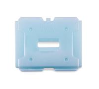 thermohauser ThermoCell - Bloques de frío sensibles (-6 °C) 1/2 GN, rango de temperatura: -3 a 4 °C, adecuado para productos lácteos, alimentos crudos, productos de huevo, apto para cajas térmicas de