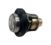Thermostat 60ºC Compatible with Marine Outboard Engines 9.9-70HP Models 17670-94402 17670-94400 17670-94404 17670-94403 17670-94401 5031758