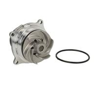 THERMOTEC D1G002TT Bomba de agua con junta Tipo de servicio: mecánico Compatible con HYUNDAI GETZ TB, FORD Focus Mk1 Hatchback DAW, DBW Focus Mk1 Familiar DNW TRANSIT CONNECT P65, P70, P80