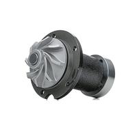 Bomba de agua THERMOTEC D1M006TT