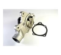 THERMOTEC D1Y000TT Bomba de agua