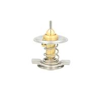 THERMOTEC D2M004TT Termostato, refrigerante
