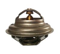 Termostato, refrigerante THERMOTEC D2UR005TT