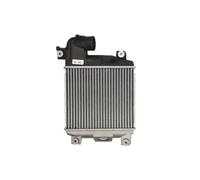 Intercooler THERMOTEC DA2004TT